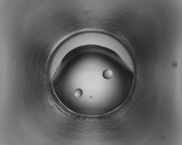 X0000114400484200911061541