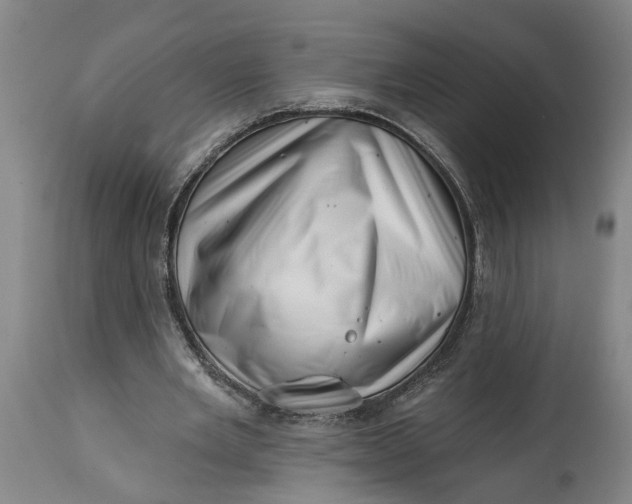 X0000114400485200911061541