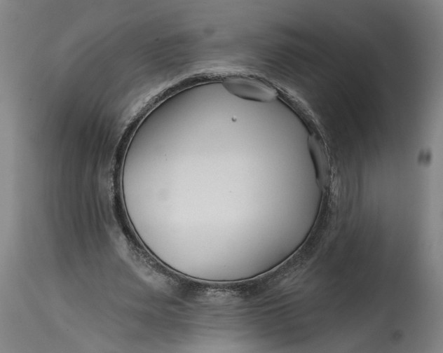 X0000114400487200911061541