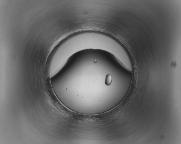 X0000114400488200911061541