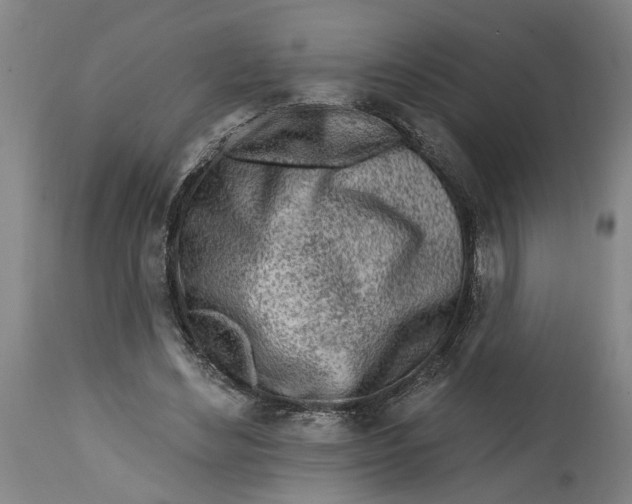 X0000114400492200911061541