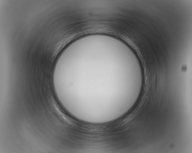 X0000114400493200911061541