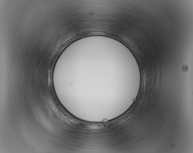 X0000114400494200911061541