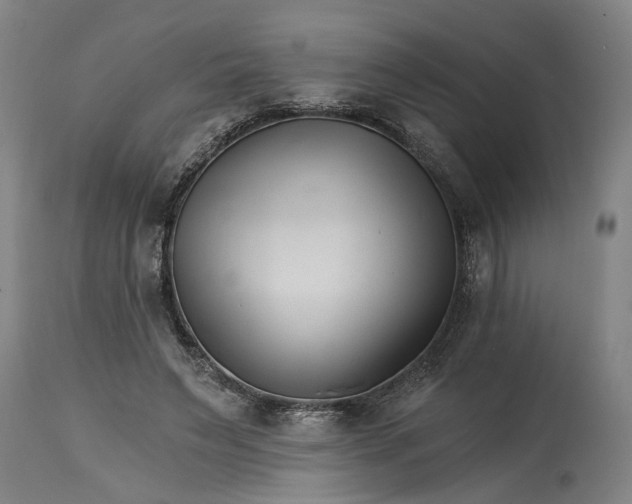 X0000114400495200911061541