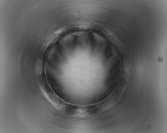 X0000114400496200911061541