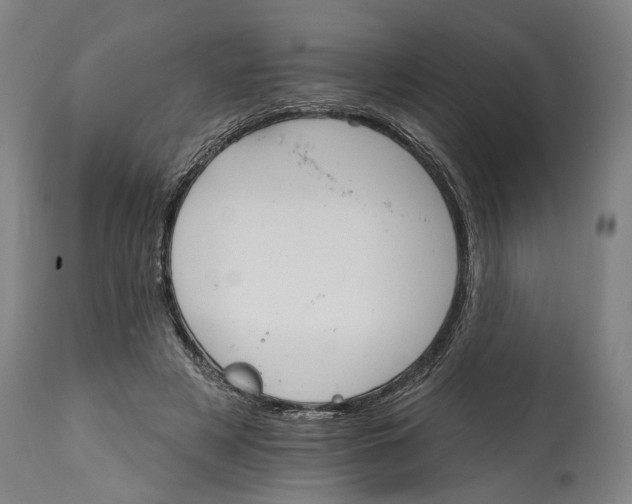 X0000114400497200911061541