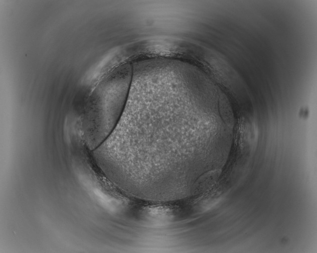 X0000114400500200911061541