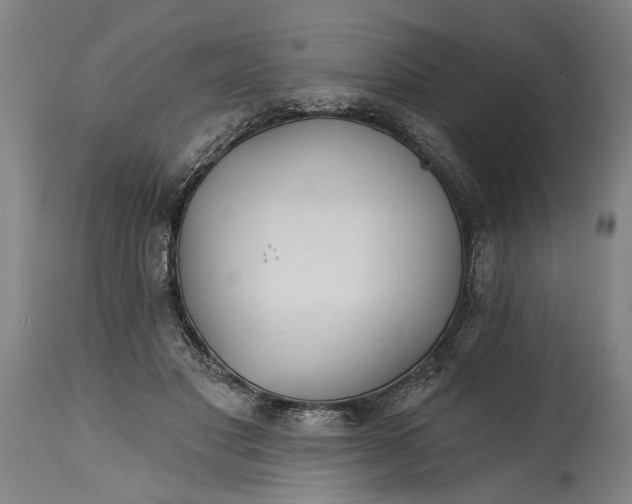 X0000114400501200911061541