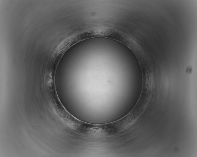 X0000114400502200911061541