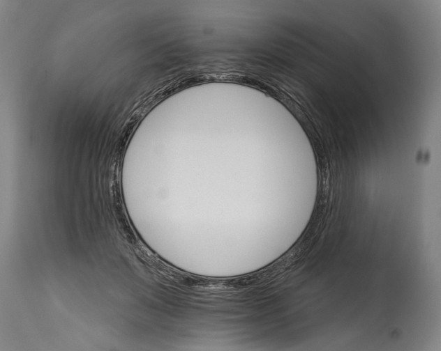 X0000114400503200911061541