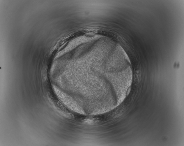 X0000114400504200911061541