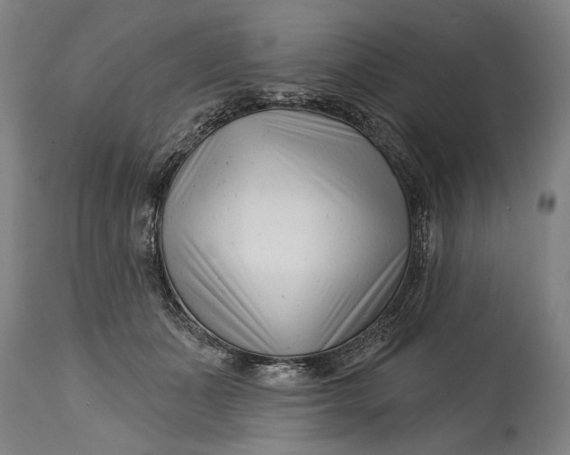 X0000114400511200911061541