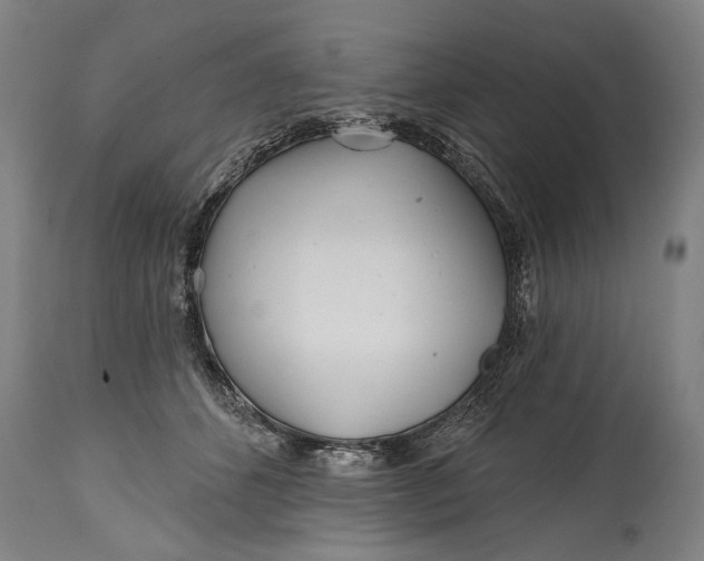 X0000114400512200911061541