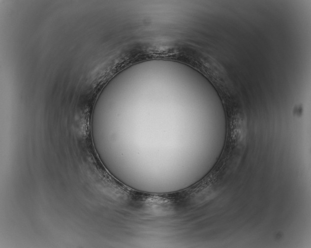 X0000114400515200911061541