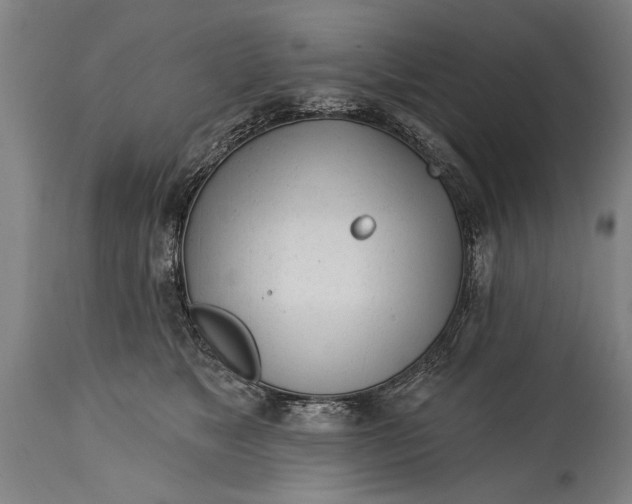 X0000114400517200911061540