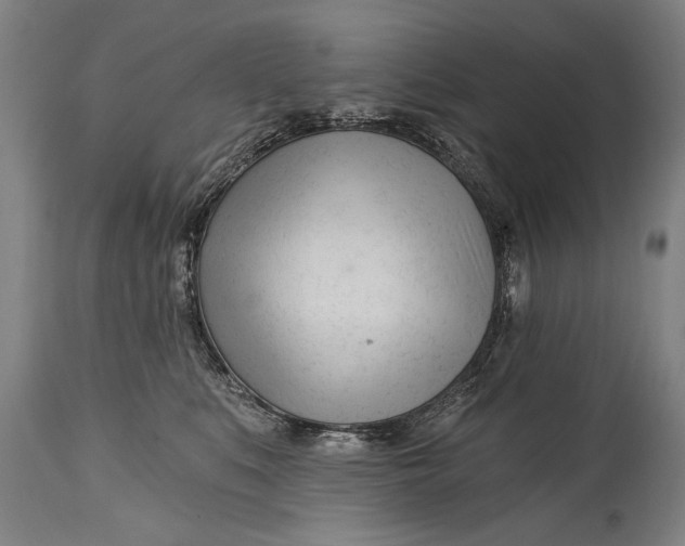 X0000114400519200911061540