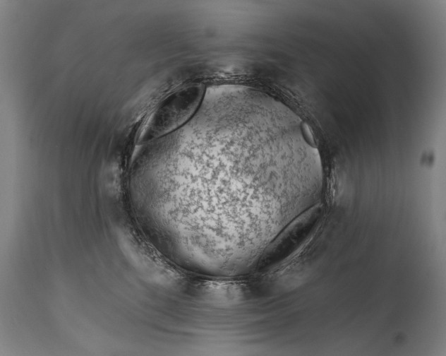 X0000114400520200911061540