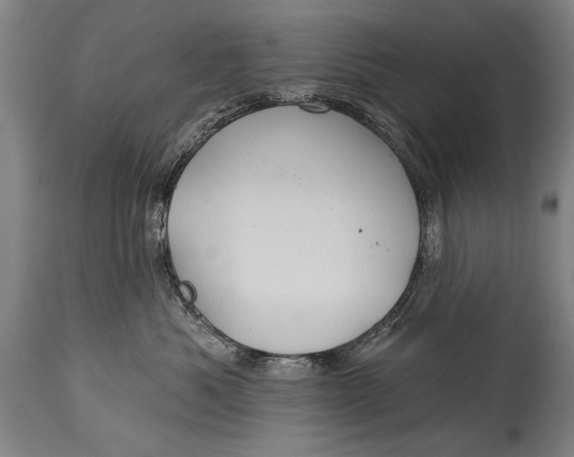 X0000114400525200911061540