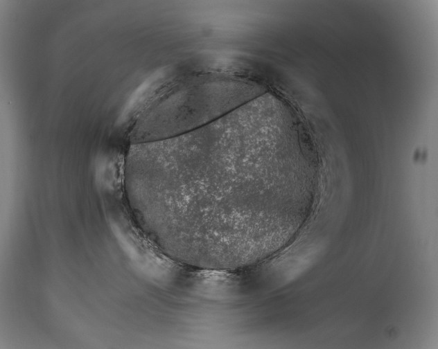 X0000114400528200911061540