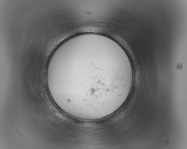 X0000114400529200911061540