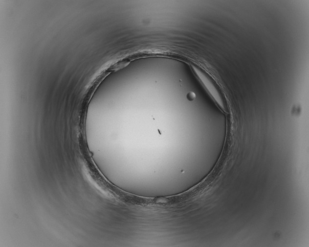 X0000114400530200911061540