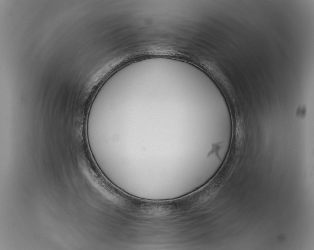 X0000114400533200911061540