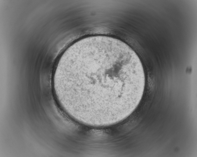 X0000114400534200911061540