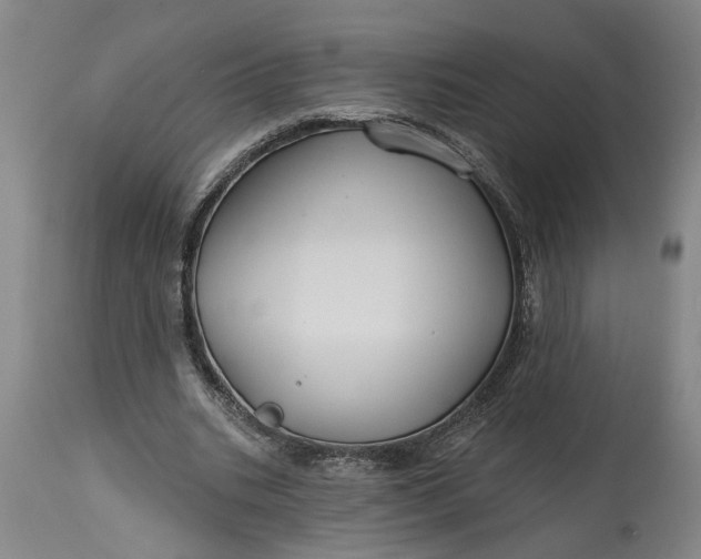 X0000114400535200911061540