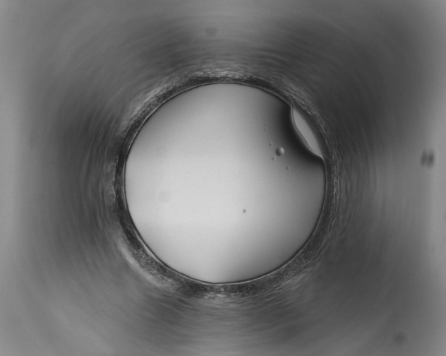 X0000114400538200911061540