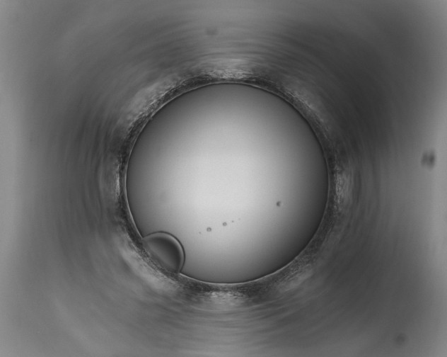 X0000114400541200911061540