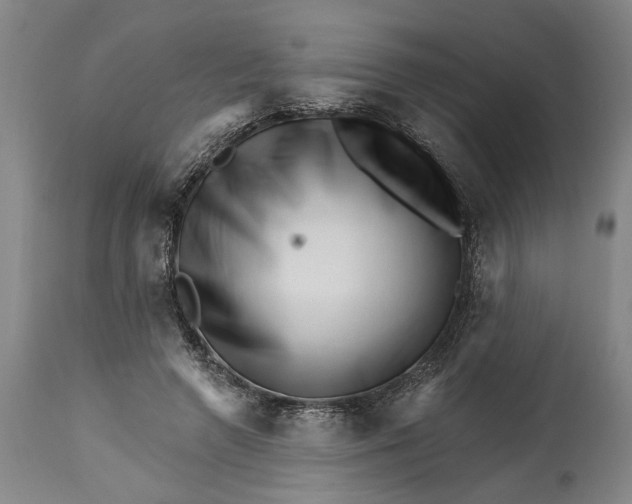 X0000114400546200911061540