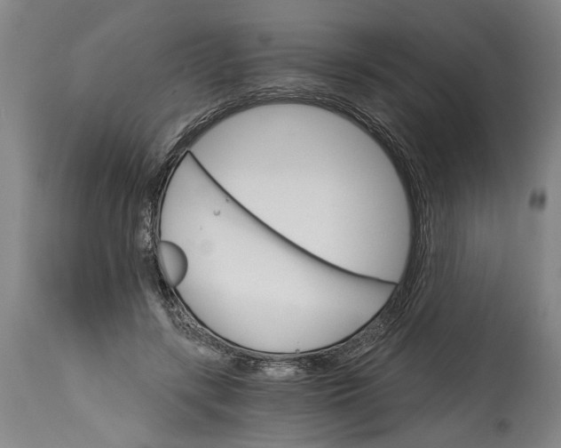 X0000114400547200911061540