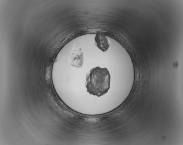 X0000114400549200911061540