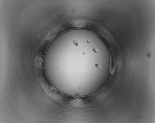 X0000114400551200911061540