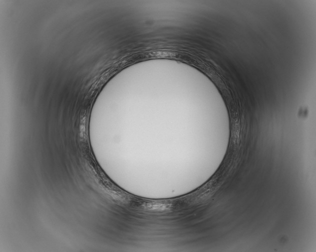 X0000114400553200911061540