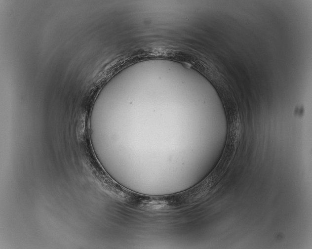 X0000114400554200911061540