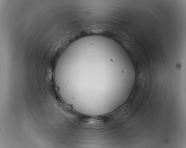 X0000114400555200911061540