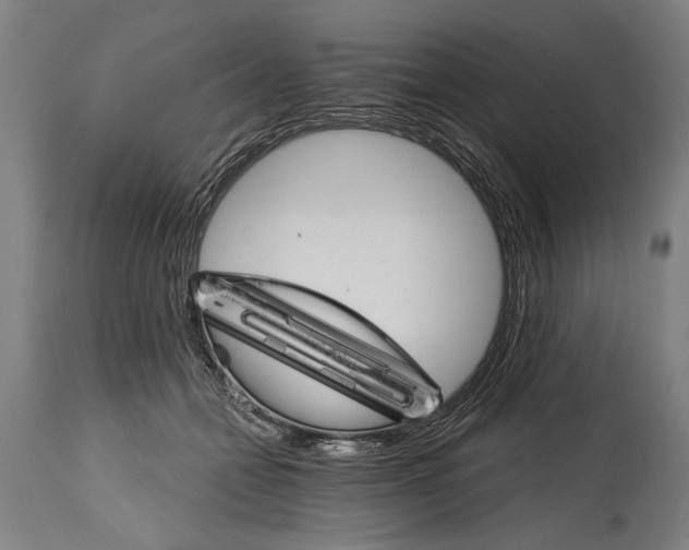 X0000114400558200911061540