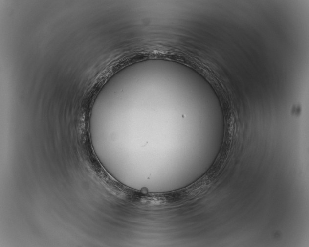 X0000114400559200911061540