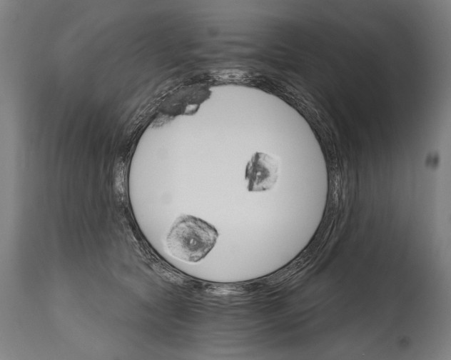 X0000114400561200911061540