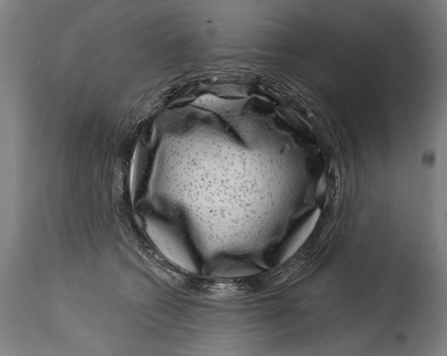 X0000114400562200911061540