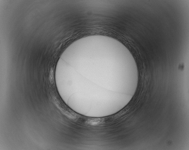 X0000114400563200911061540