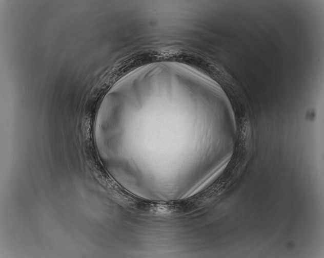 X0000114400565200911061540