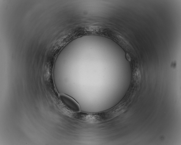 X0000114400566200911061540