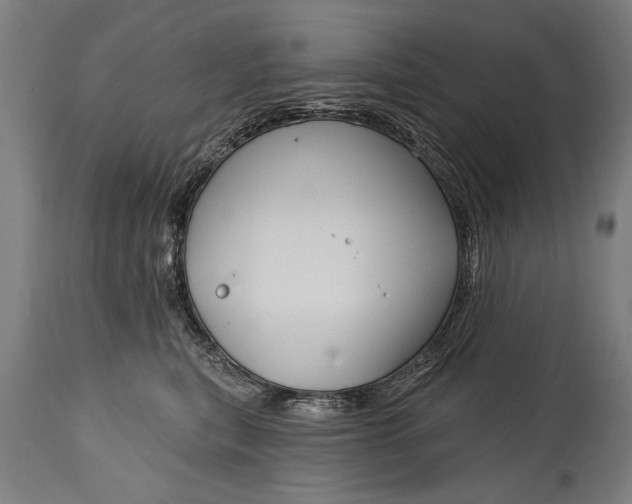 X0000114400567200911061540