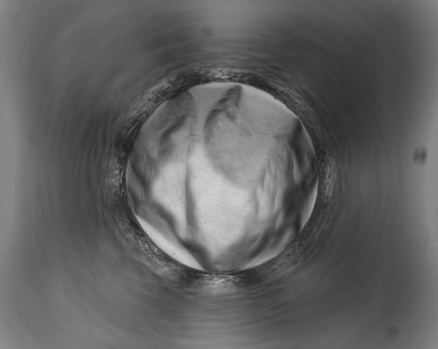 X0000114400569200911061540