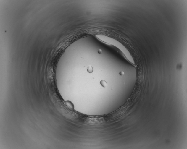 X0000114400571200911061540