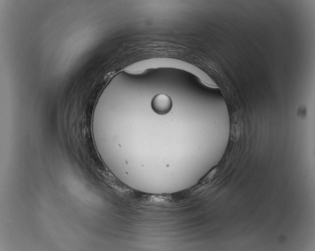 X0000114400573200911061540