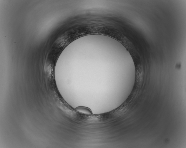 X0000114400574200911061540