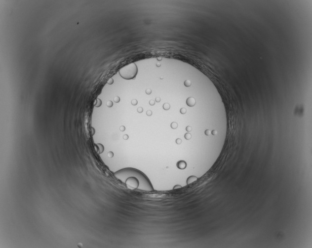 X0000114400575200911061540